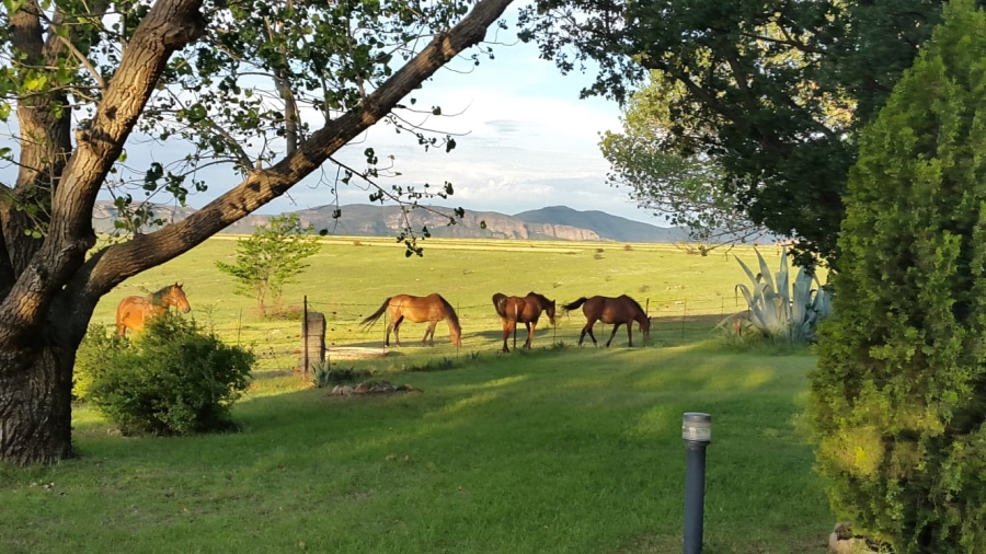 9 Bedroom Property for Sale in Fouriesburg Free State